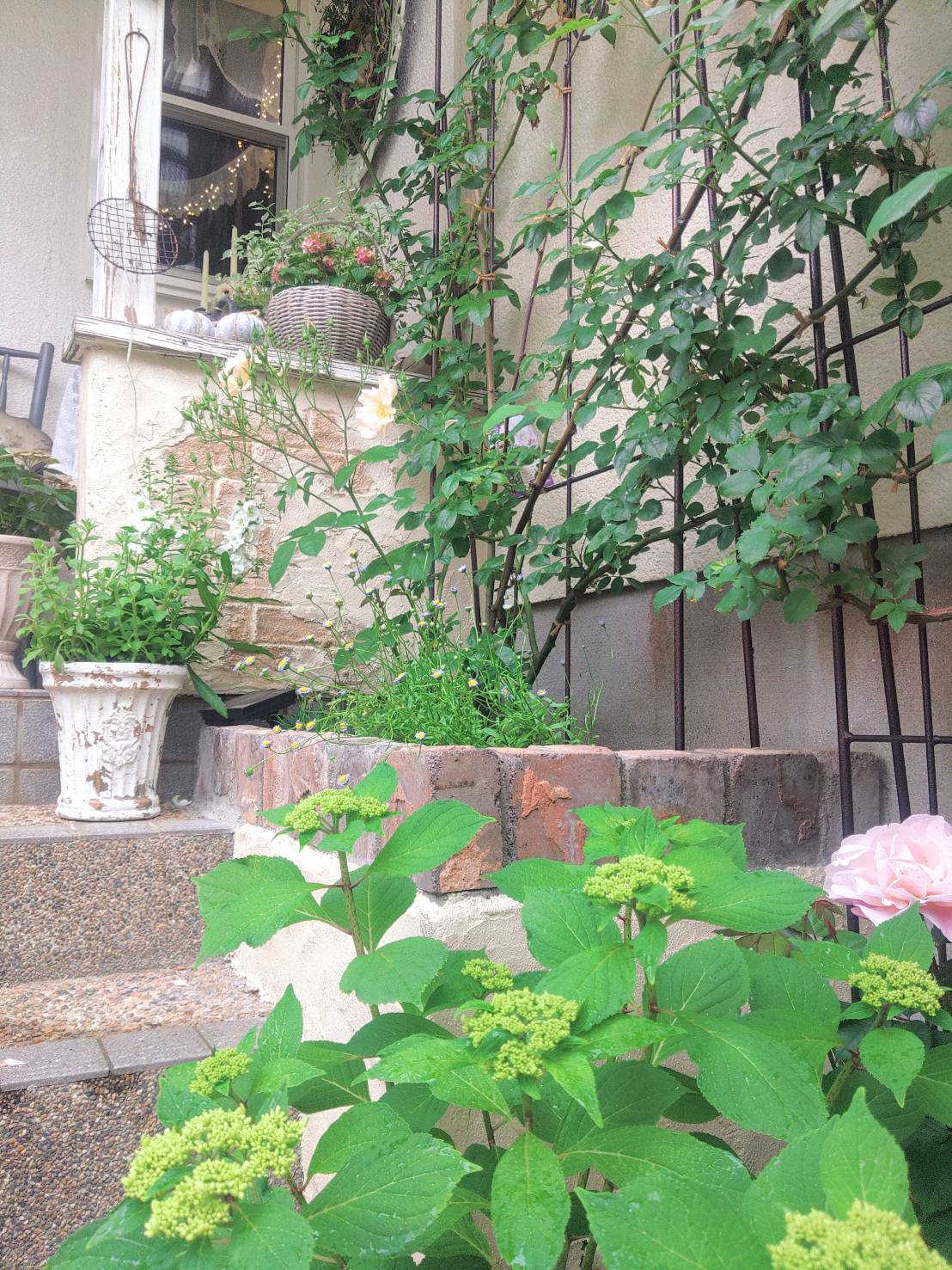 お花が満開の庭