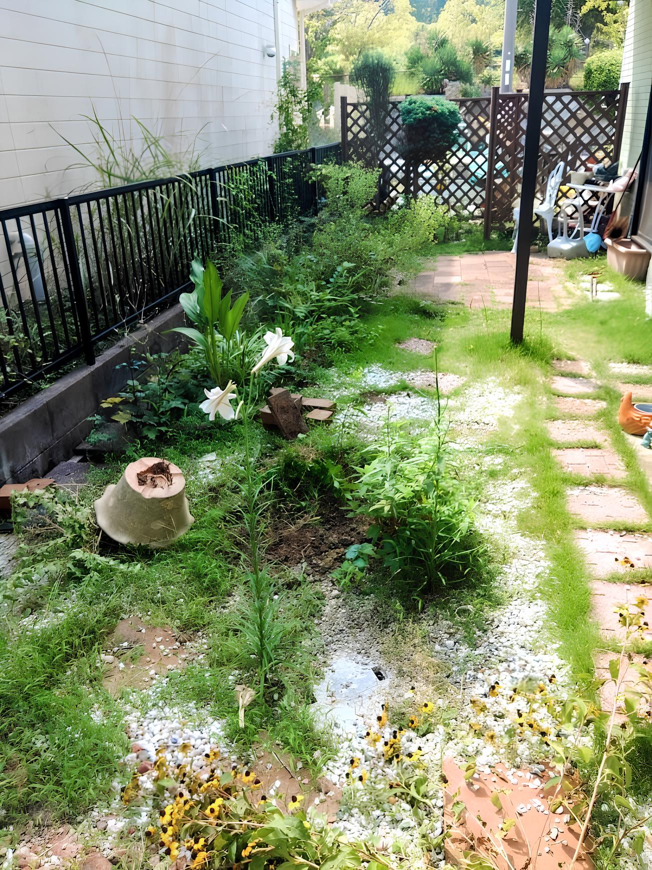 リフォーム前の庭